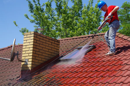 Roof cleaning
