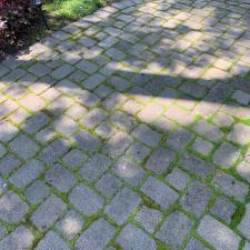 paver_patio_cleaning 2